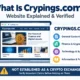 Crypings.com website explained with information about its general content and crypto-related topics